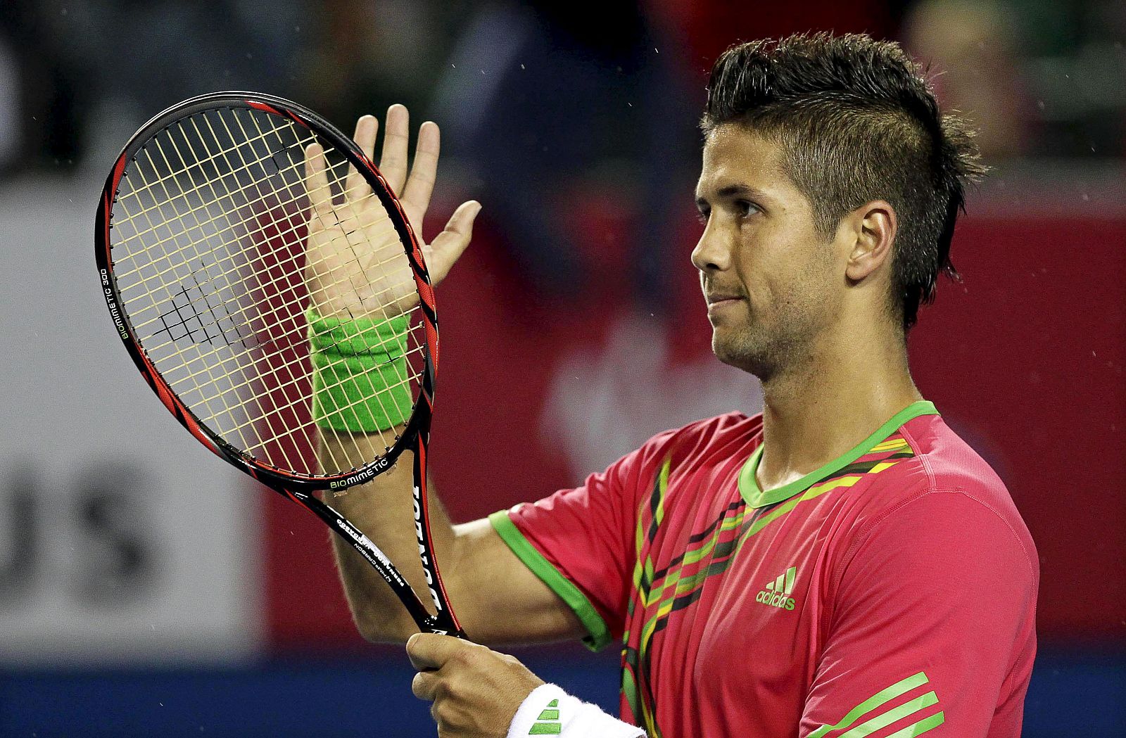 FERNANDO VERDASCO - RAINER SCHUETTLER