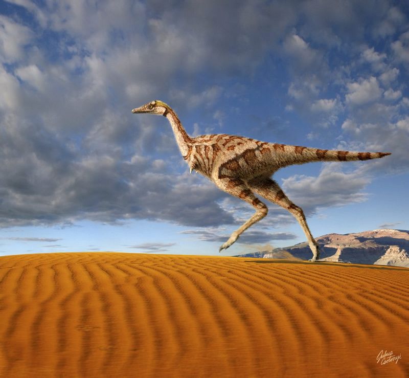 Un grupo de dinosaurios sobrevivió al meteorito Un grupo de dinosaurios sobrevivió al meteorito