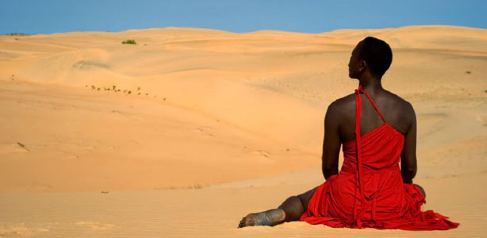 metropolis cuerposocial portada