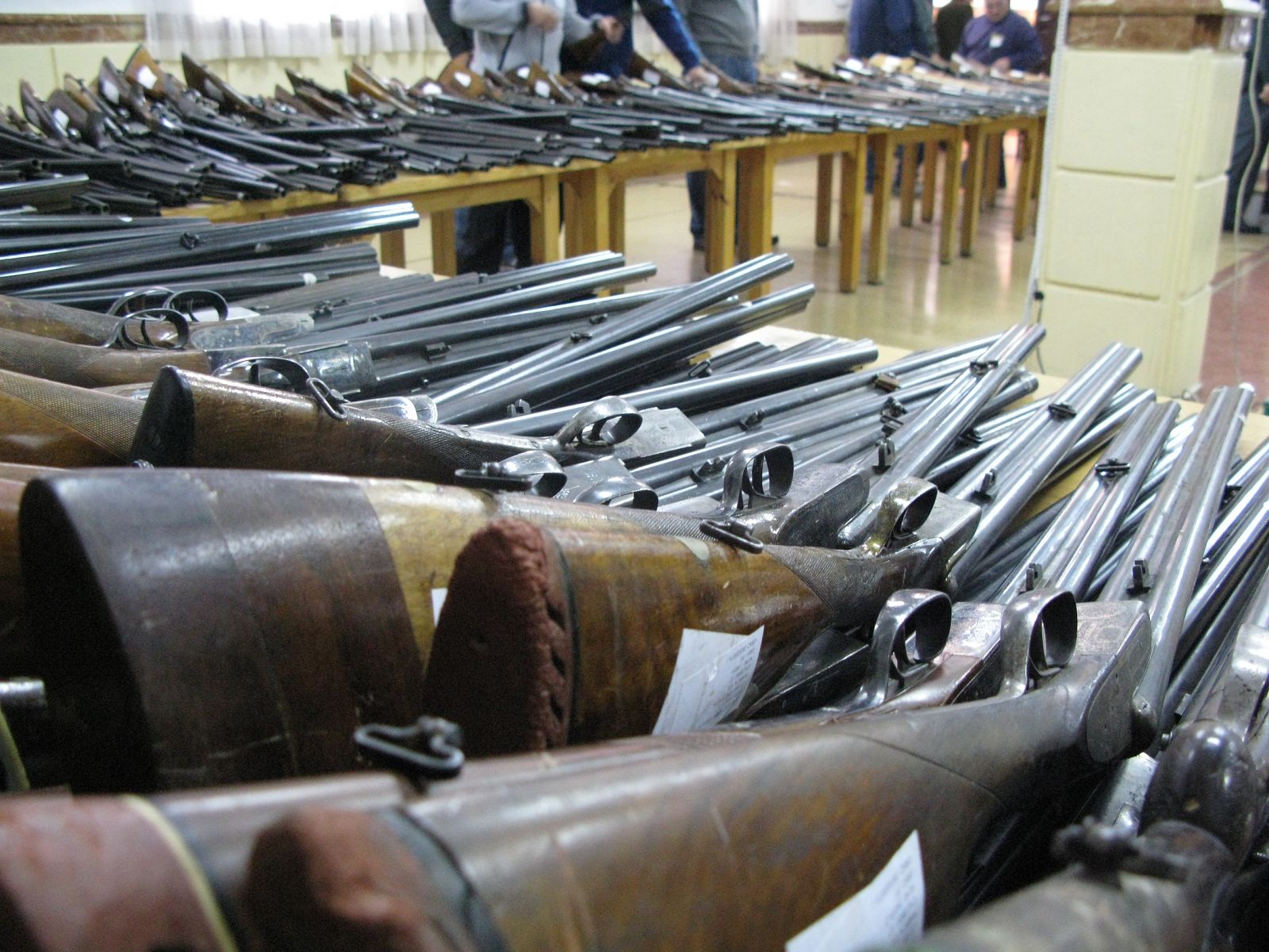 escopetas en exposición