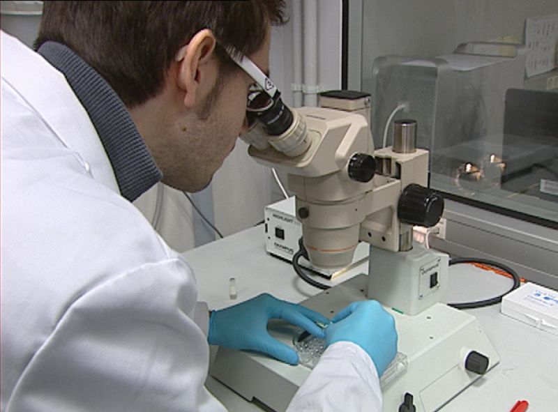 Año Internacional de la Química: doce meses para borrar su mala fama