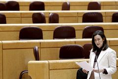 La ley Sinde resurge en el Senado con los votos de PSOE, PP y CiU