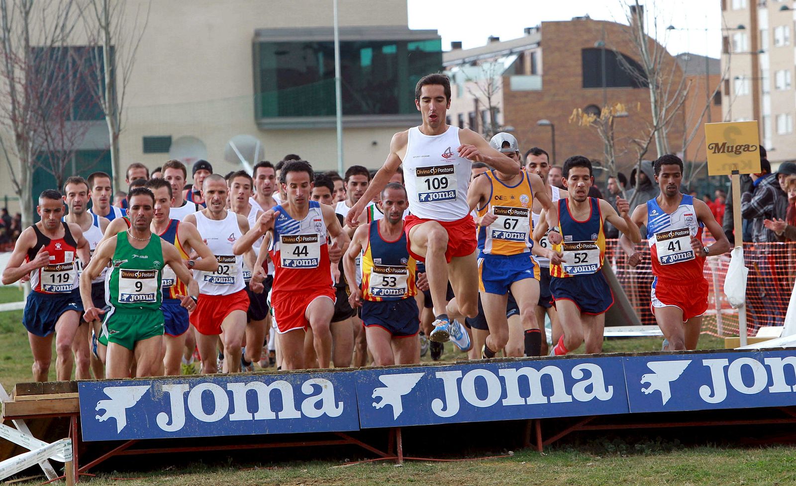 XXVI CTO. DE ESPAÑA DE CAMPO A TRAVES