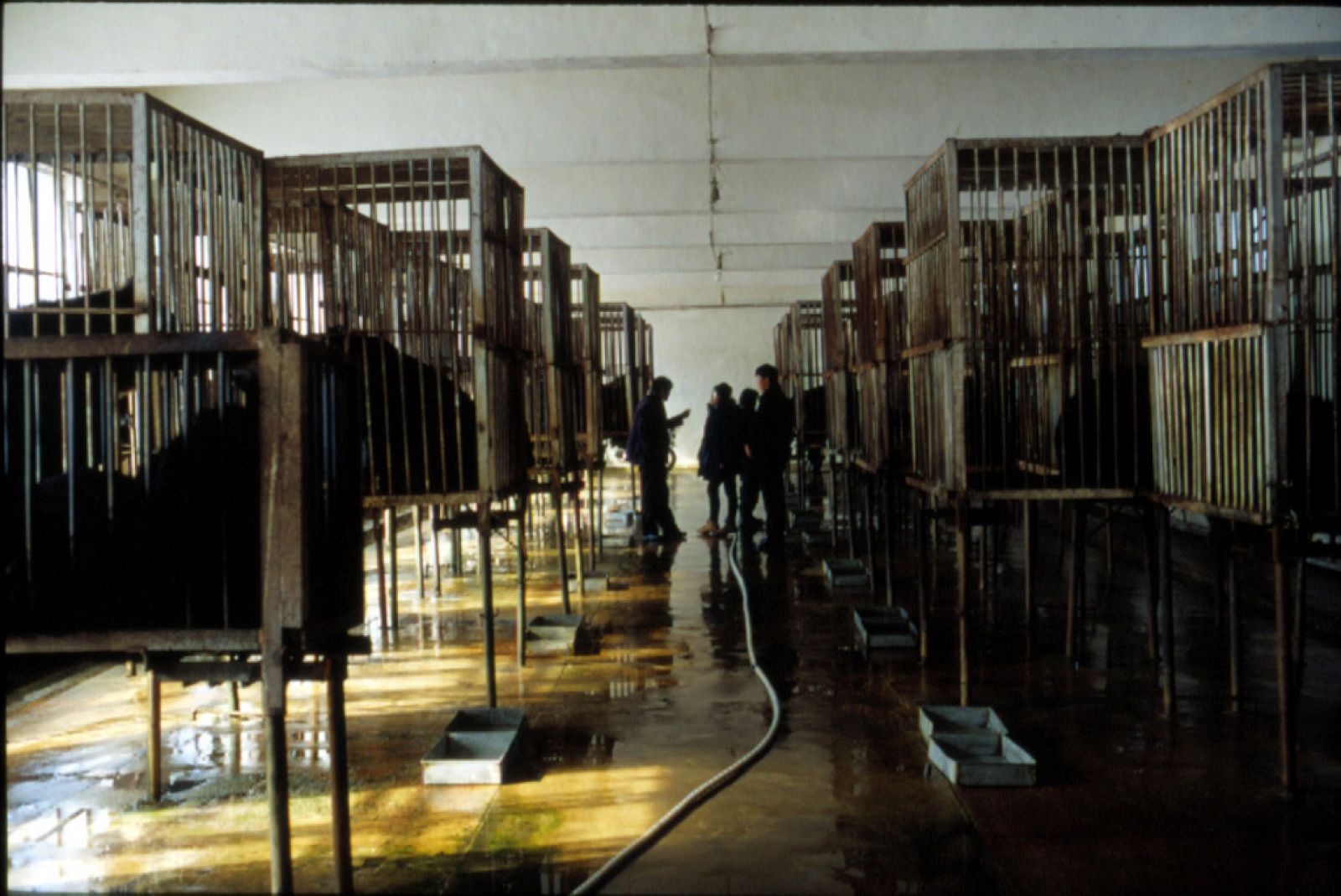 3837432485 d28344315d b