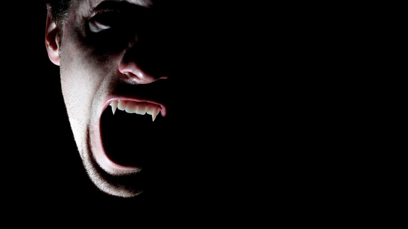 Conoce a los cuatro ganadores del concurso para asistir a la grabación de 'Drácula'.