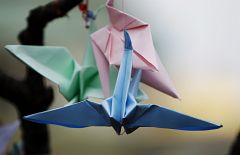 Pájaros que hablan al oído