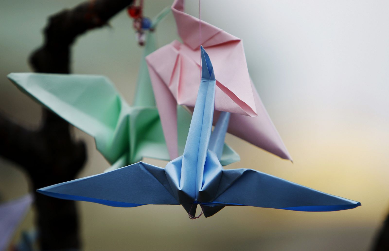 Pájaros de papiroflexia