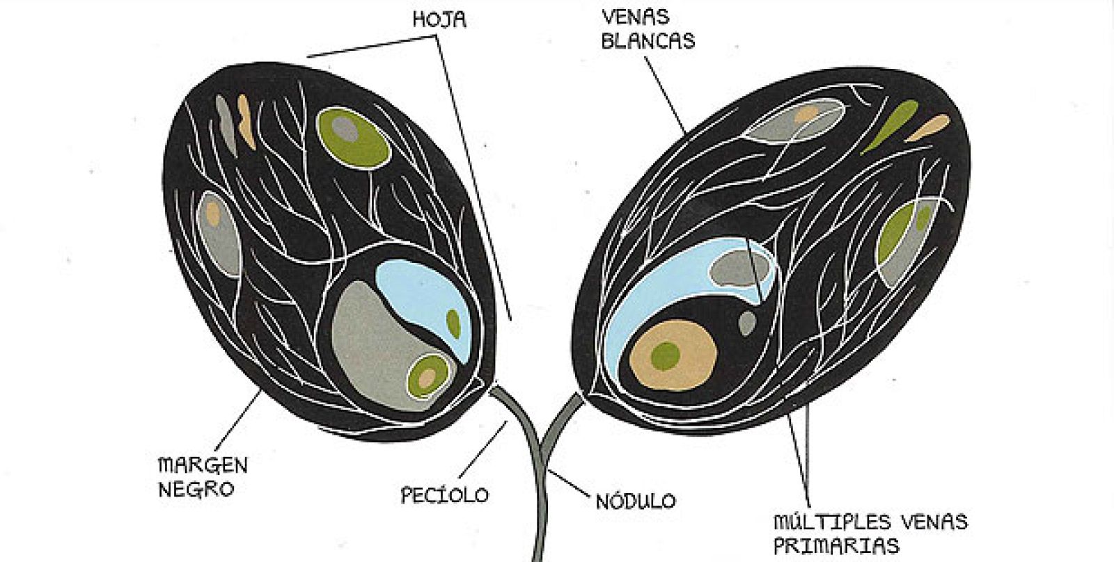 Viñeta de 'Body World', de Dash Shaw
