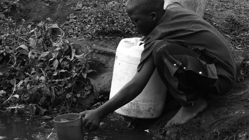 En Portada. "El safari del agua"