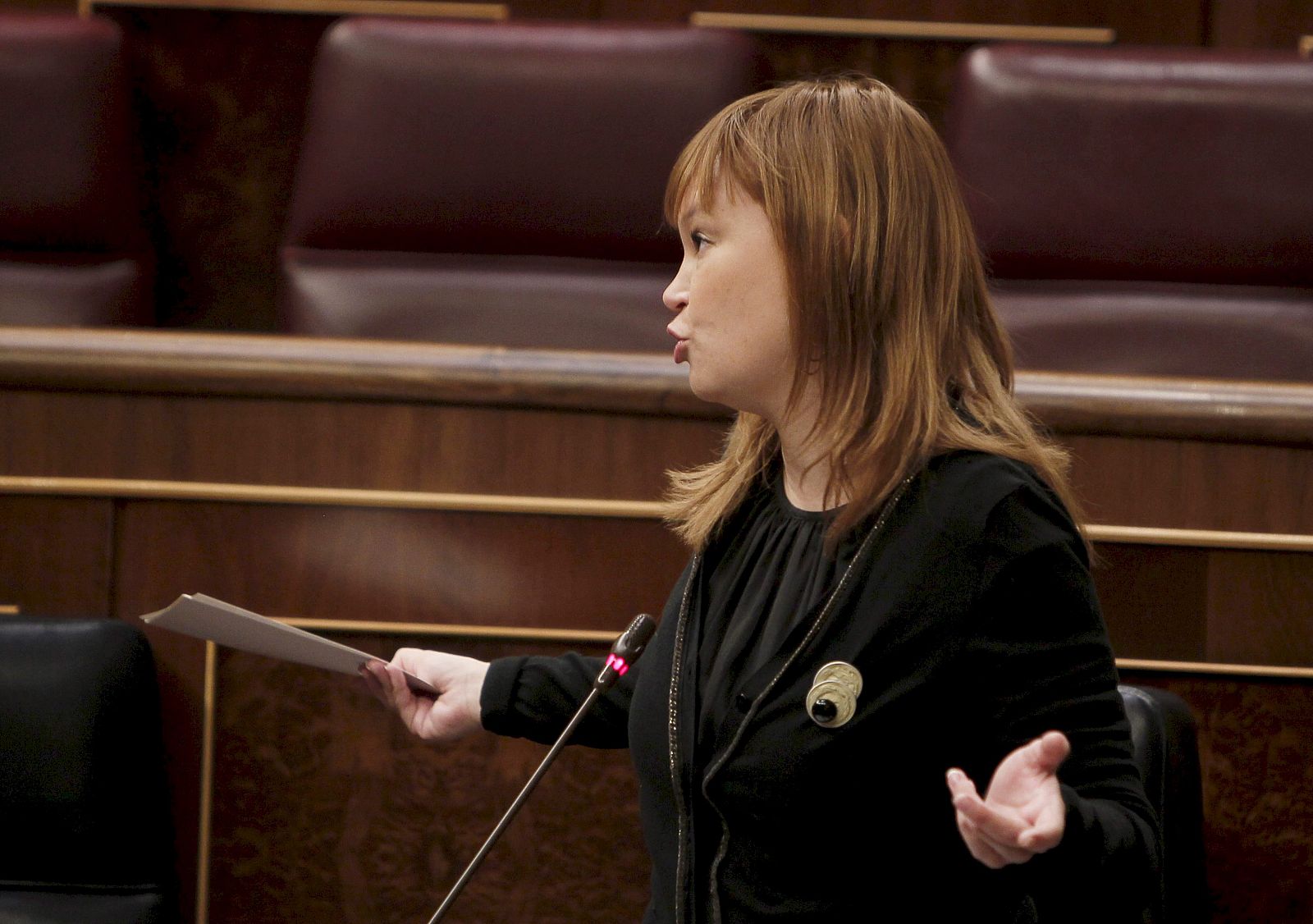 Comparecencía de Leire Pajín en la sesión de control