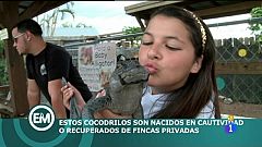 Miami, un paraíso tropical y centro financiero en 'Españoles en el mundo'