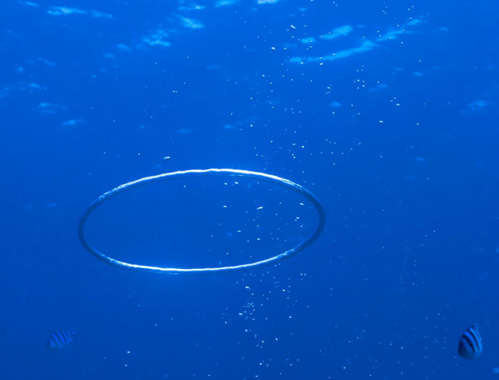 Las partículas de los líquidos en reposo se mantienen en movimiento