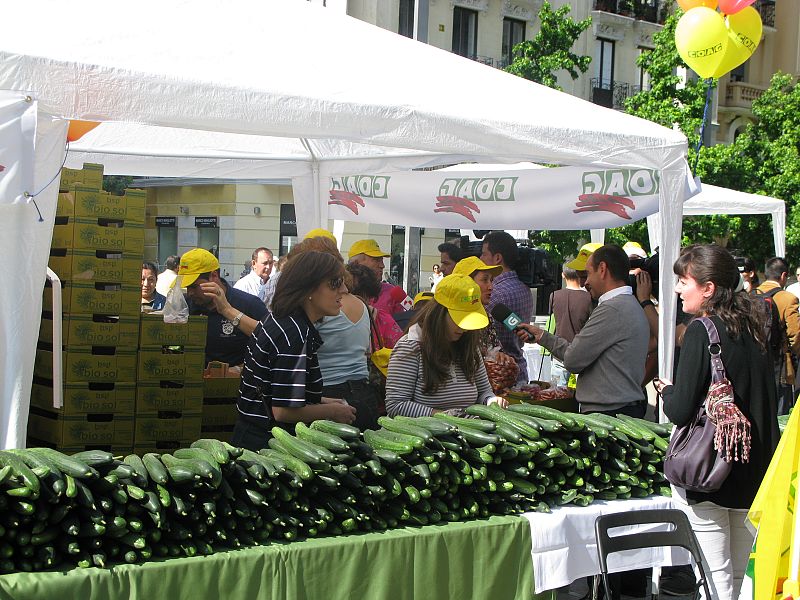 Las ayudas por la crisis del pepino empezarían a llegar en julio si se aprueba la propuesta de la CE