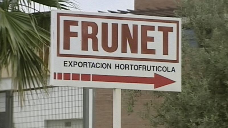 La empresa Frunet demanda a las autoridades de Hamburgo por la crisis del pepino