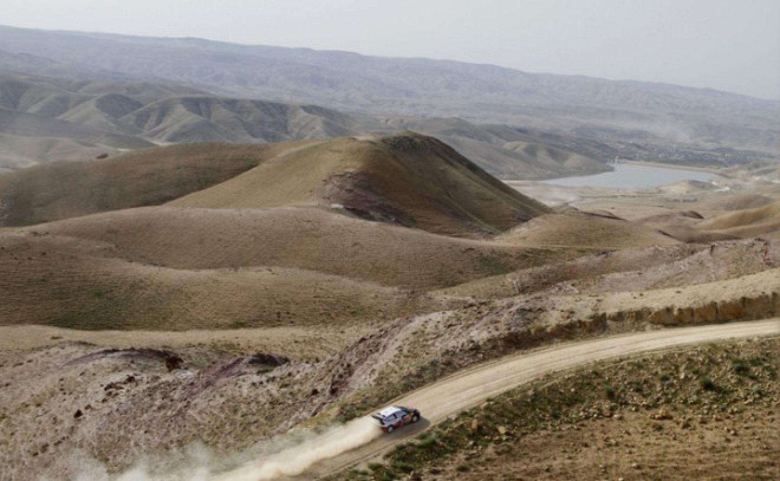 jordan 2010 loeb citroen 2