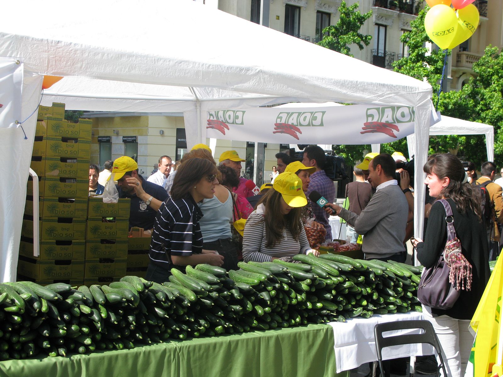 Reparto de frutas y verduras en Madrid