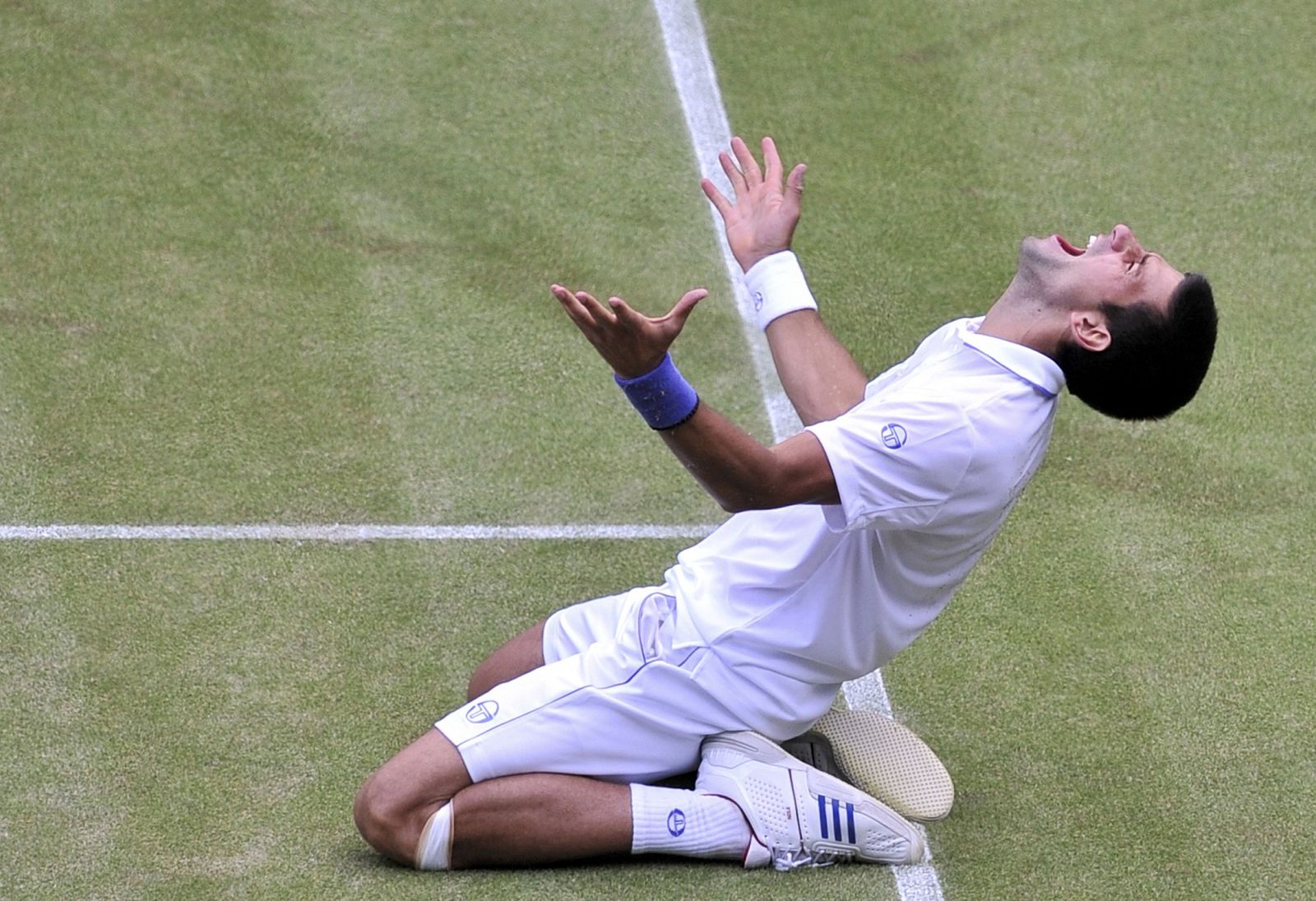 Djokovic celebra eufórico su pase a la final de Wimbledon y su consecución del número uno del mundo en el ránking del tenis.