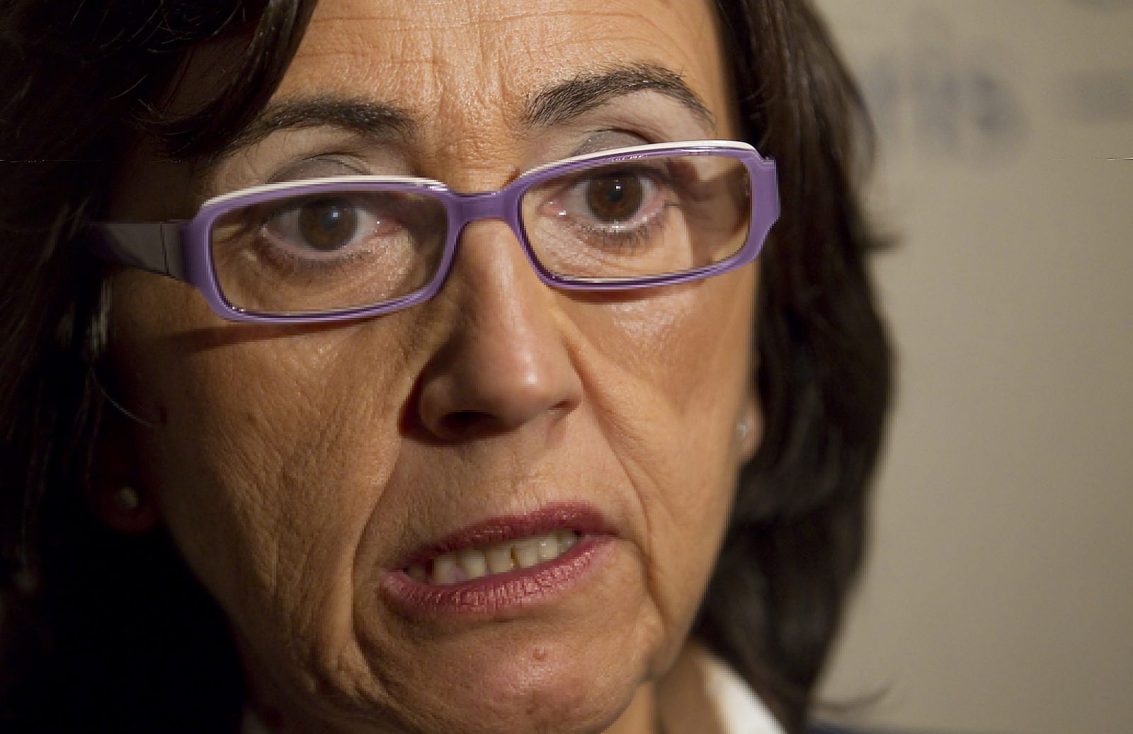 La ministra de Medio ambiente, medio rural y marino, Rosa Aguilar