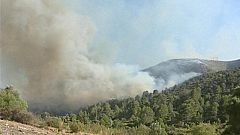 Dos incendios forestales al este de Mallorca obligan a desalojar varias viviendas