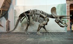 El último dinosaurio sobre la tierra
