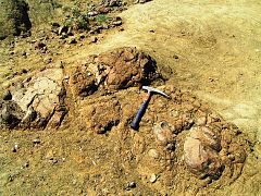 Los gases de efecto invernadero ya causaron una extinción masiva hace 200 millones de años
