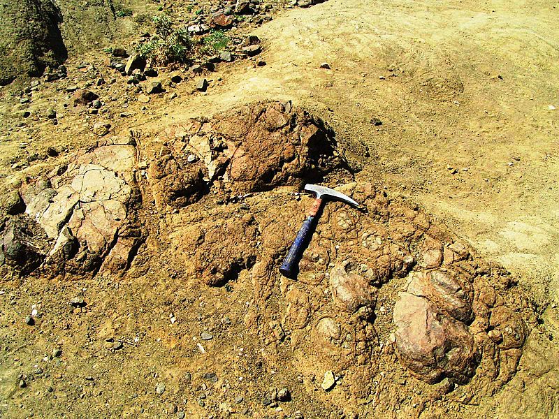 Los gases de efecto invernadero ya causaron una extinción masiva hace 200 millones de años