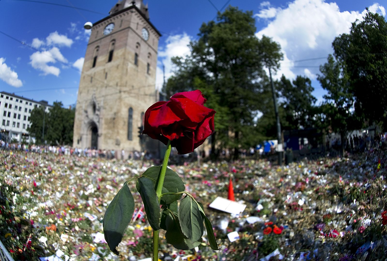 Flores frente a la iglesia de Domkirken, en Oslo