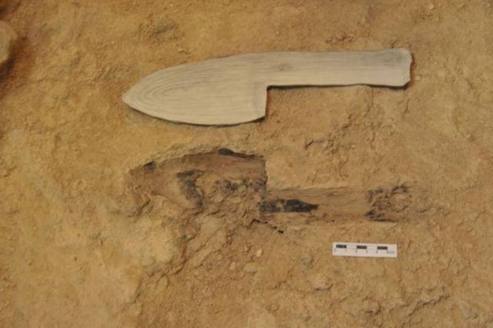 hallan-el-artefacto-de-madera-configurado-mas-antiguo-del-registro-arqueologico-mundial gallery lightbox