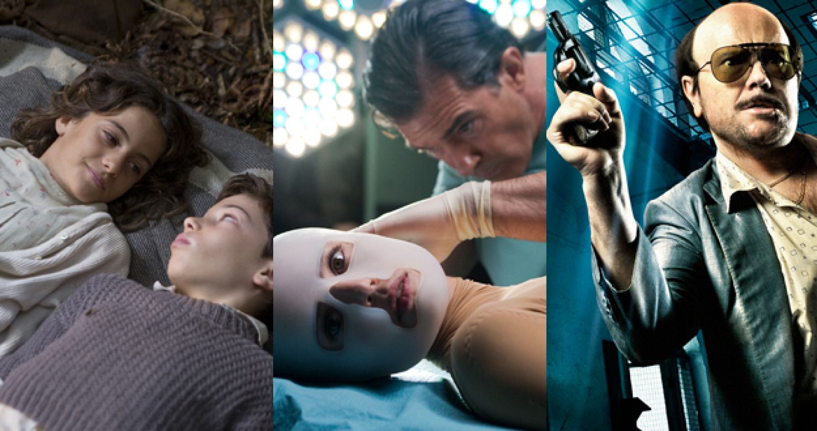 96 largometrajes optan a representar a España en los Oscar, entre ellos 'Pa negre', 'La piel que habito' y 'Torrente 4'.