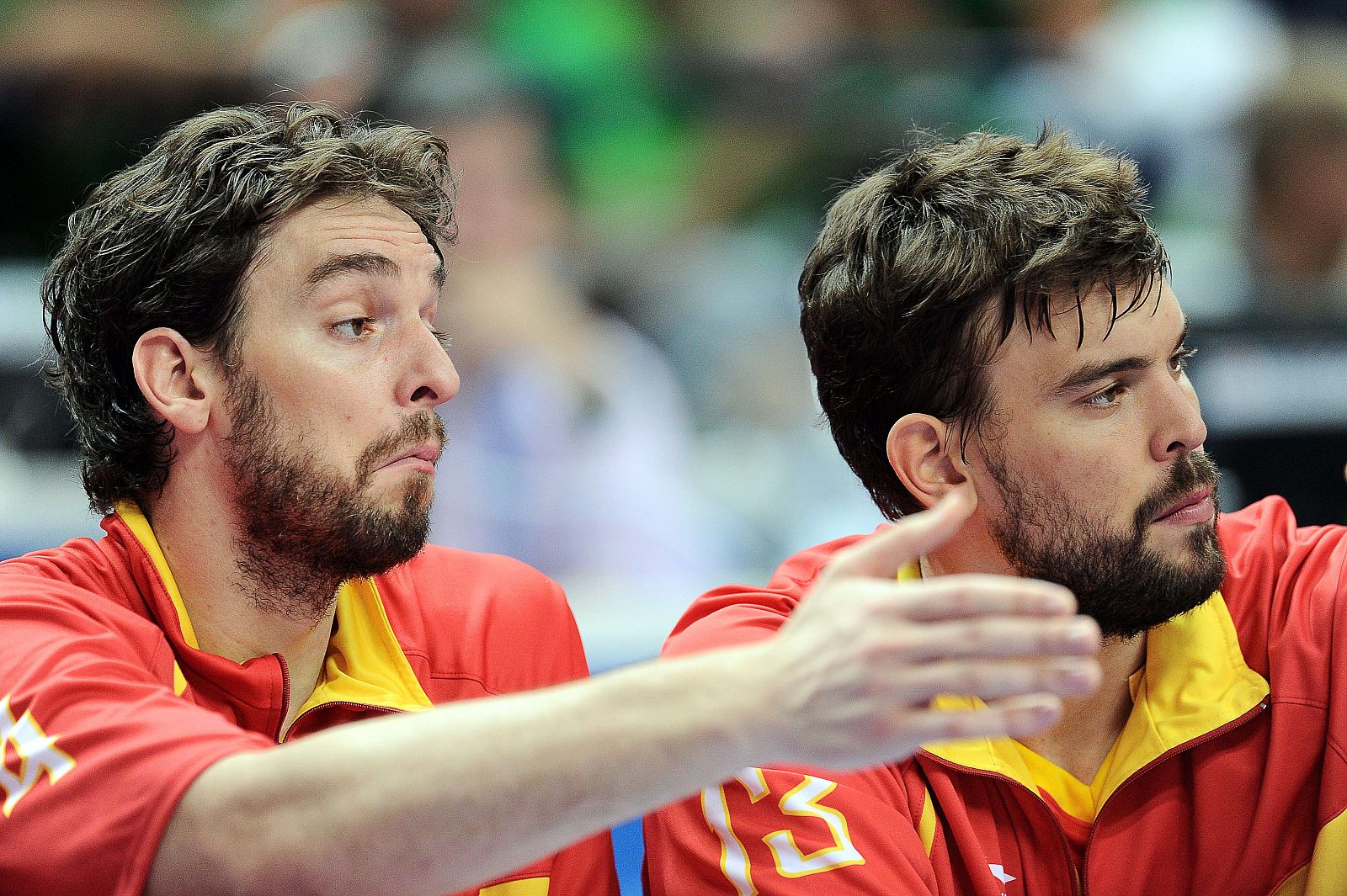 Pau Gasol y Marc Gasol durante uno de los partidos de este Eurobasket de 2011.