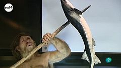 Lo que nos une a los neandertales