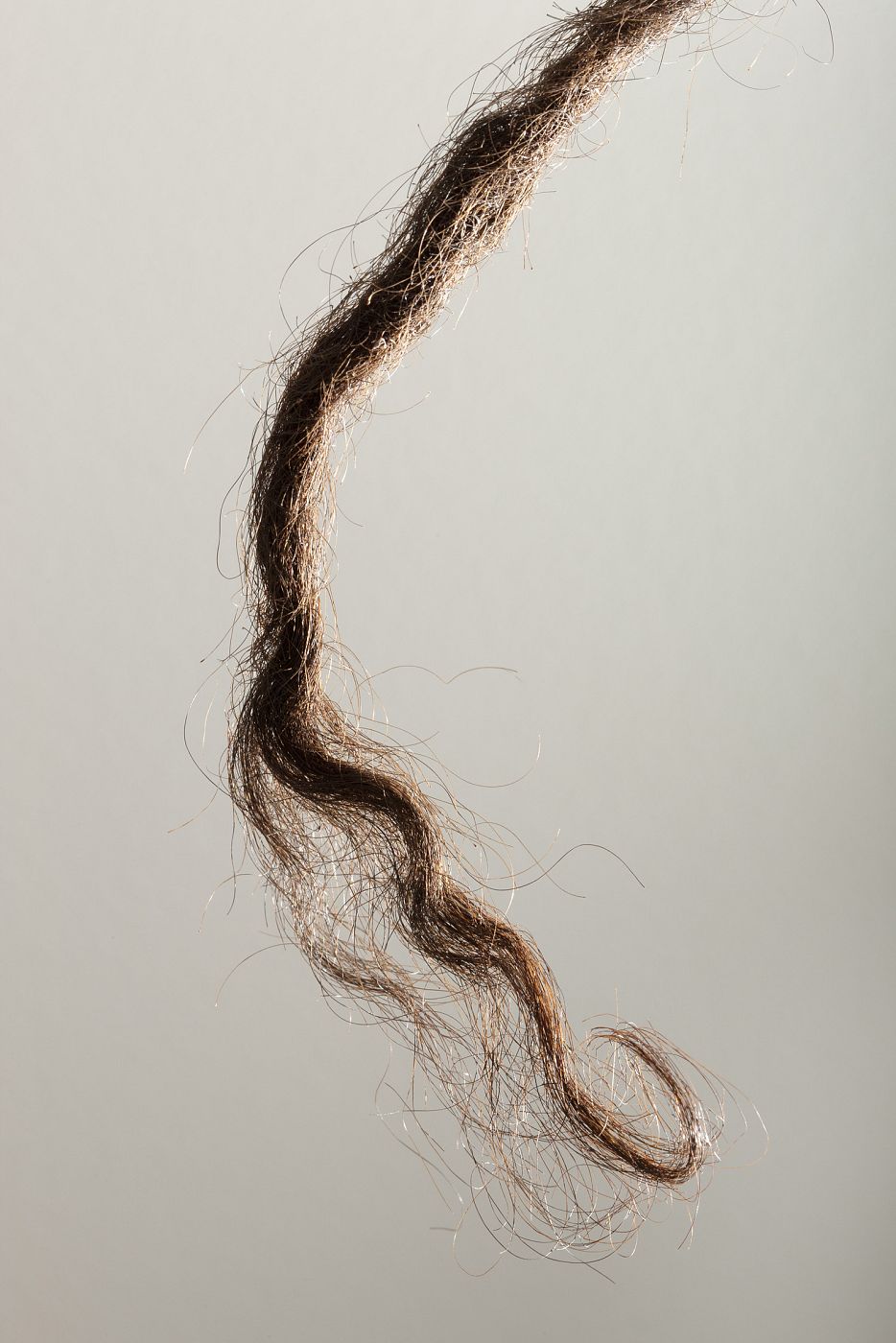 Los aborígenes australianos, descendientes de los primeros exploradores por un pelo