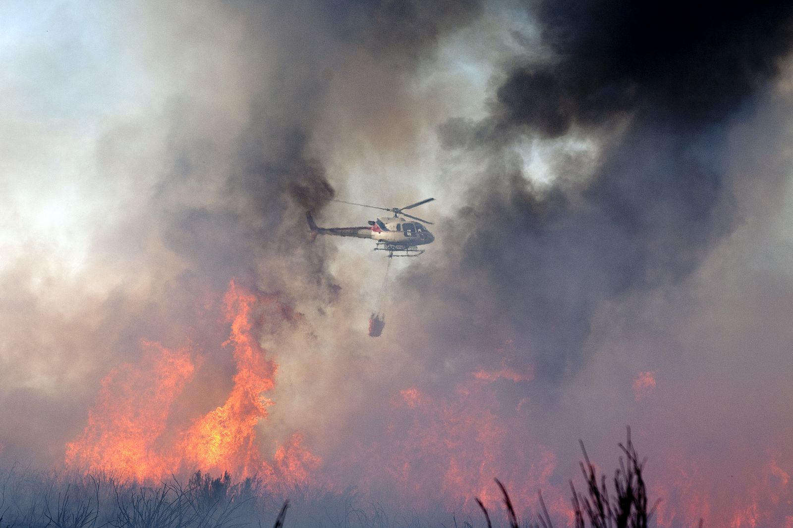 INCENDIO FORESTAL EN A MEZQUITA