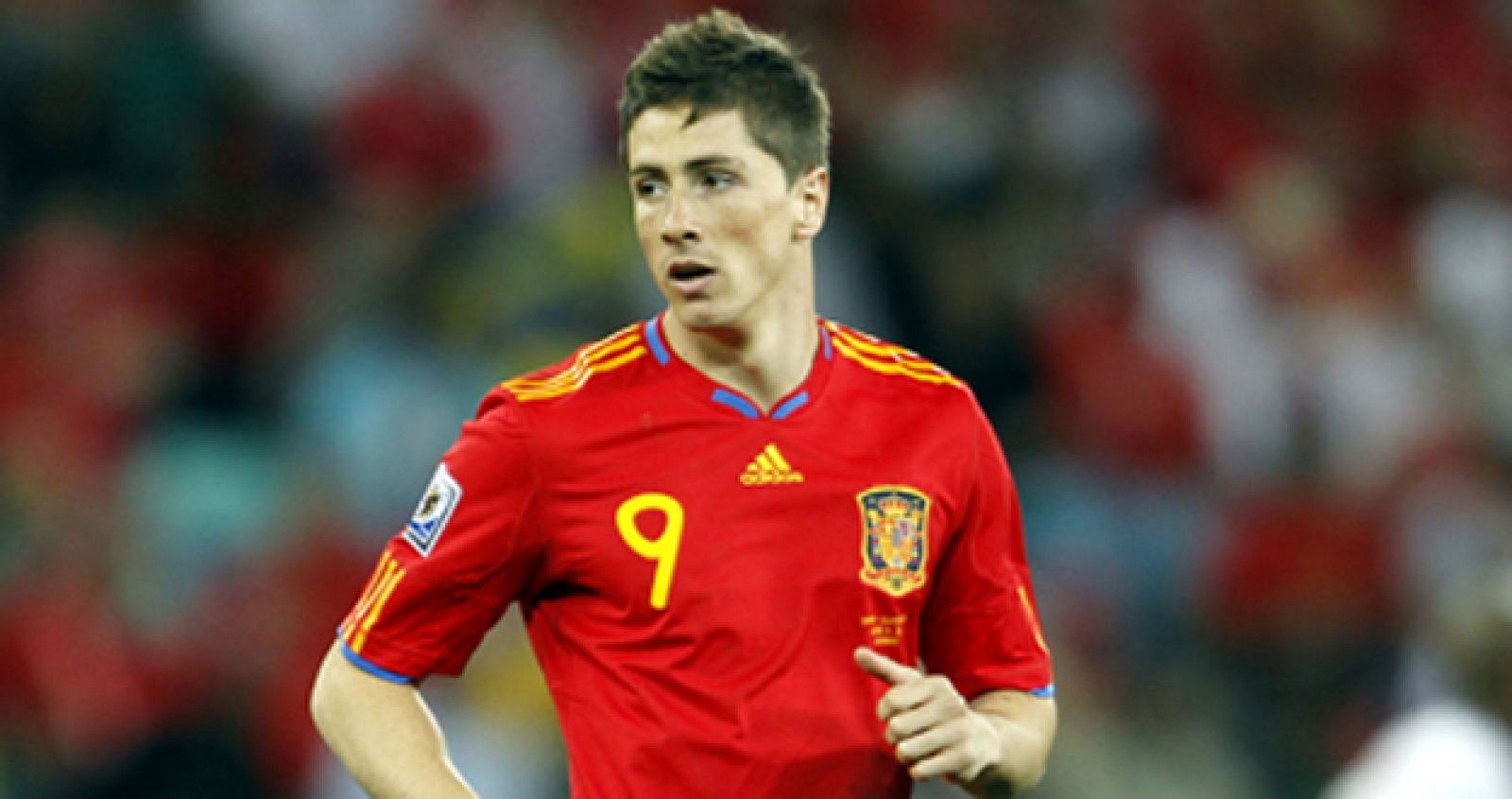 El delantero Fernando Torres durante un partido con la selección española.