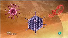 Genes en lugar de fármacos