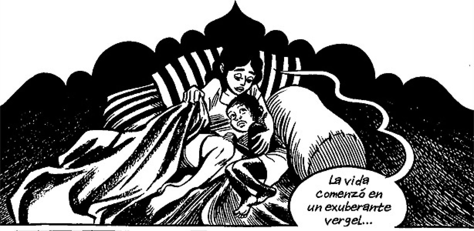 Viñeta de 'Habibi', de Craig Thompson