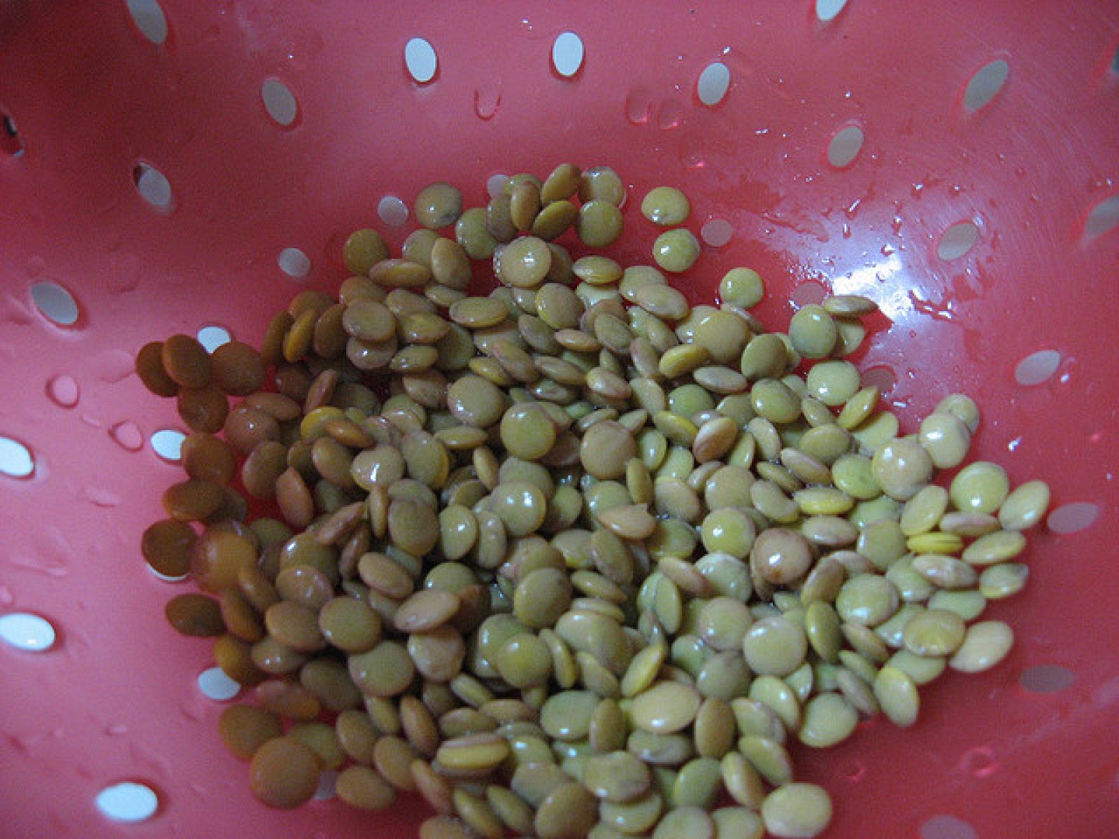 3127503708 b080e78bd7 z