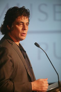 El Gobierno de España concede la nacionalidad española a Benicio del Toro y Ricky Martin