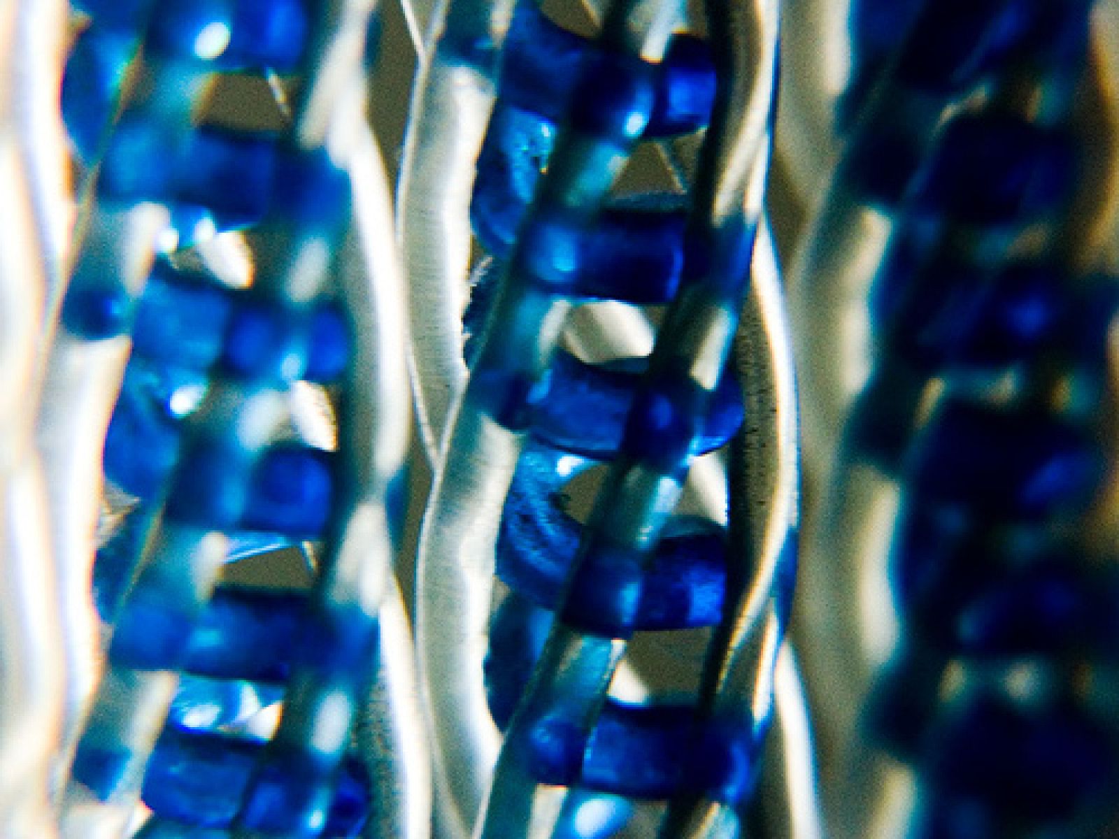 La bola de cristal del genoma