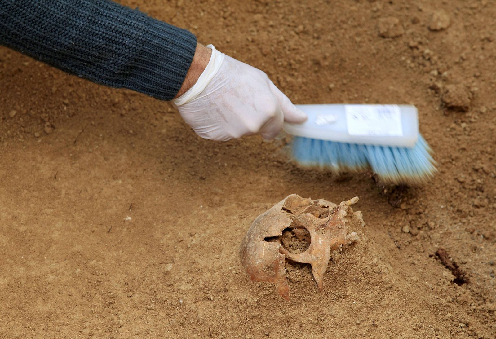 An archaeologist works next to a skull in a mass grave in the cemetery of Gerena in Seville