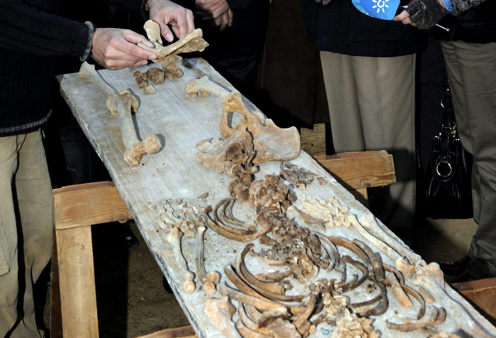 LOCALIZAN A UNA DE LAS "17 ROSAS" CON DOS DISPAROS EN LA NUCA