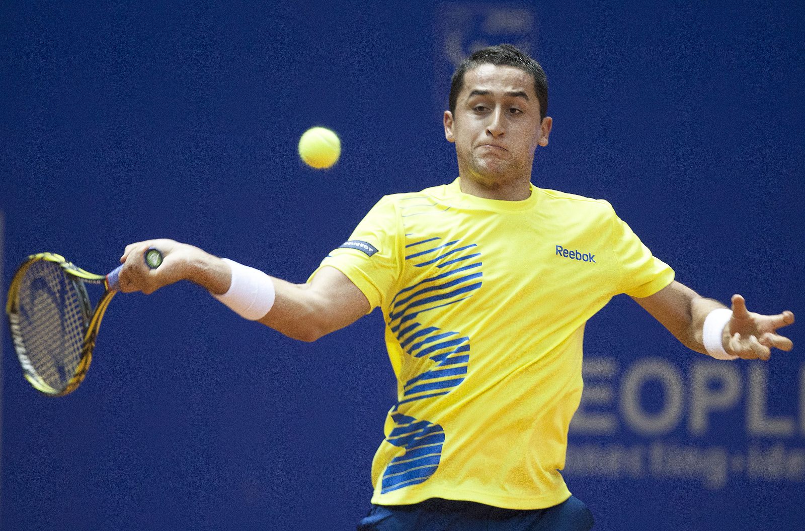 NICOLÁS ALMAGRO VS. VICTOR HANESCU