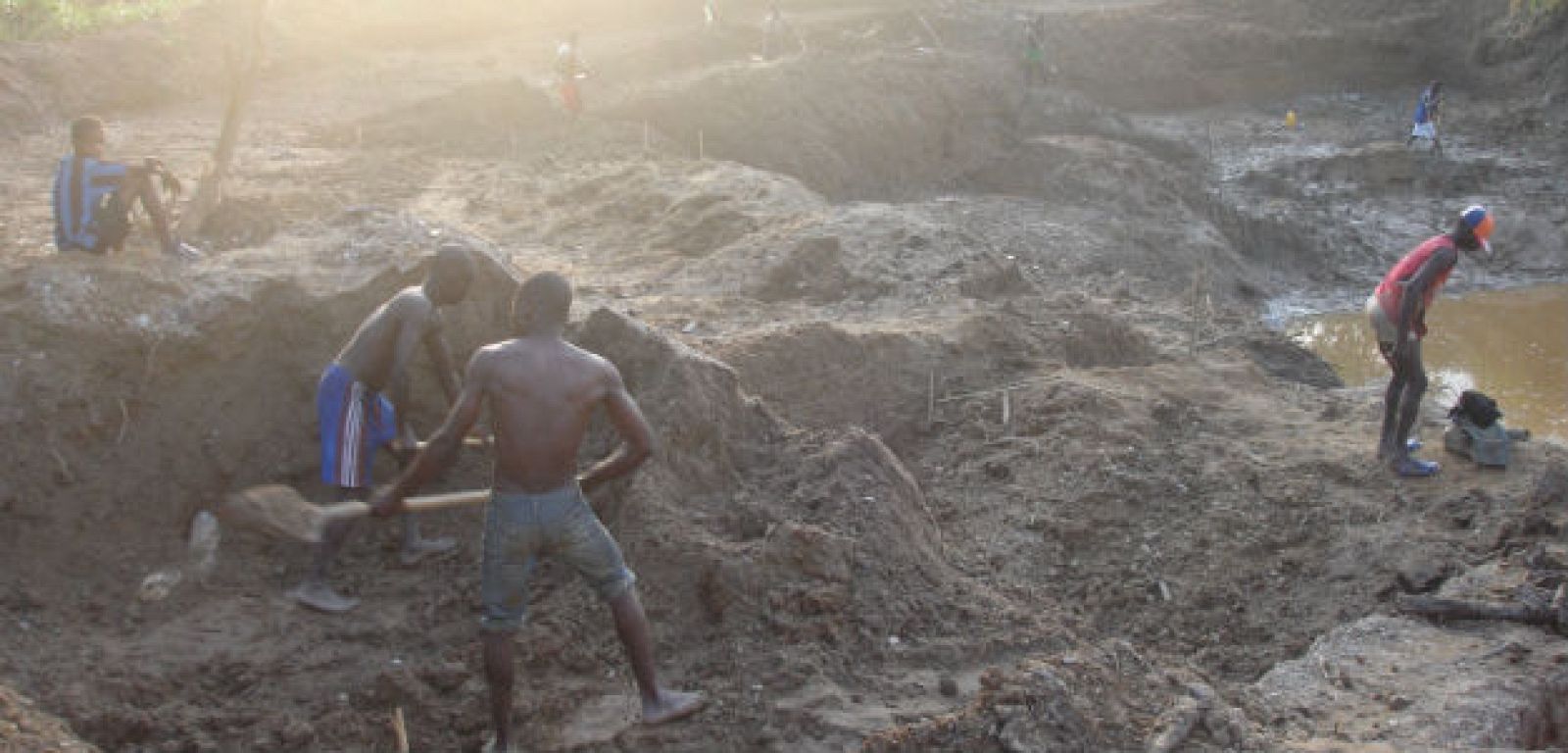 Centroáfrica: diamantes, vacas y aceite NOTICIA