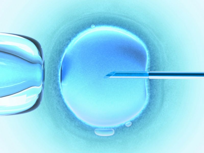 Descubren que las mujeres tienen células madre que podrían generar nuevos óvulos