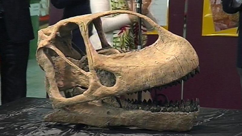 La cabeza del dinosaurio Gigante Europeo