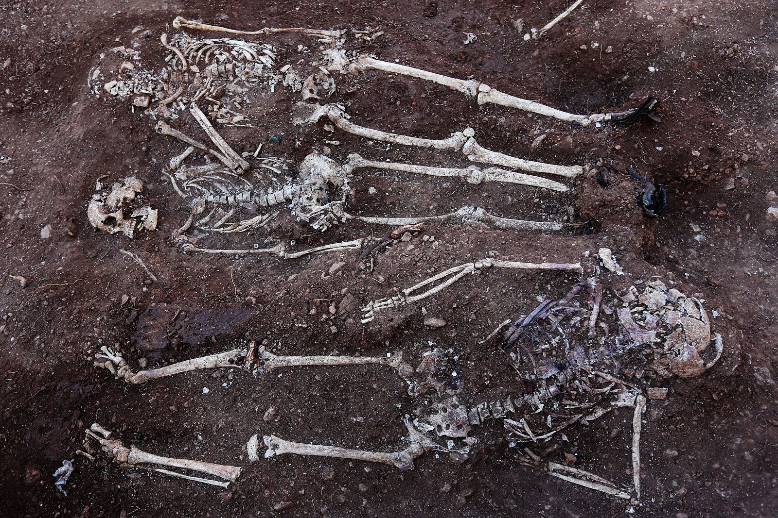 EXHUMAN EN TEBA (MÁLAGA) LA SEGUNDA FOSA DE FUSILADOS MÁS IMPORTANTE DEL PAÍS