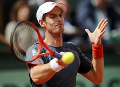 Un Murray lesionado vence y hunde a Nieminen en la desesperación