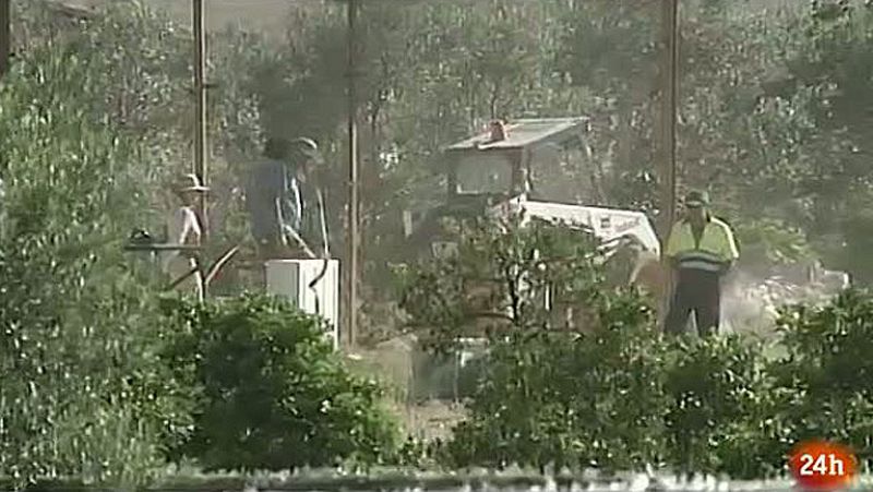 Reanudan la búsqueda de los niños de Córdoba en la finca de los abuelos con un georradar