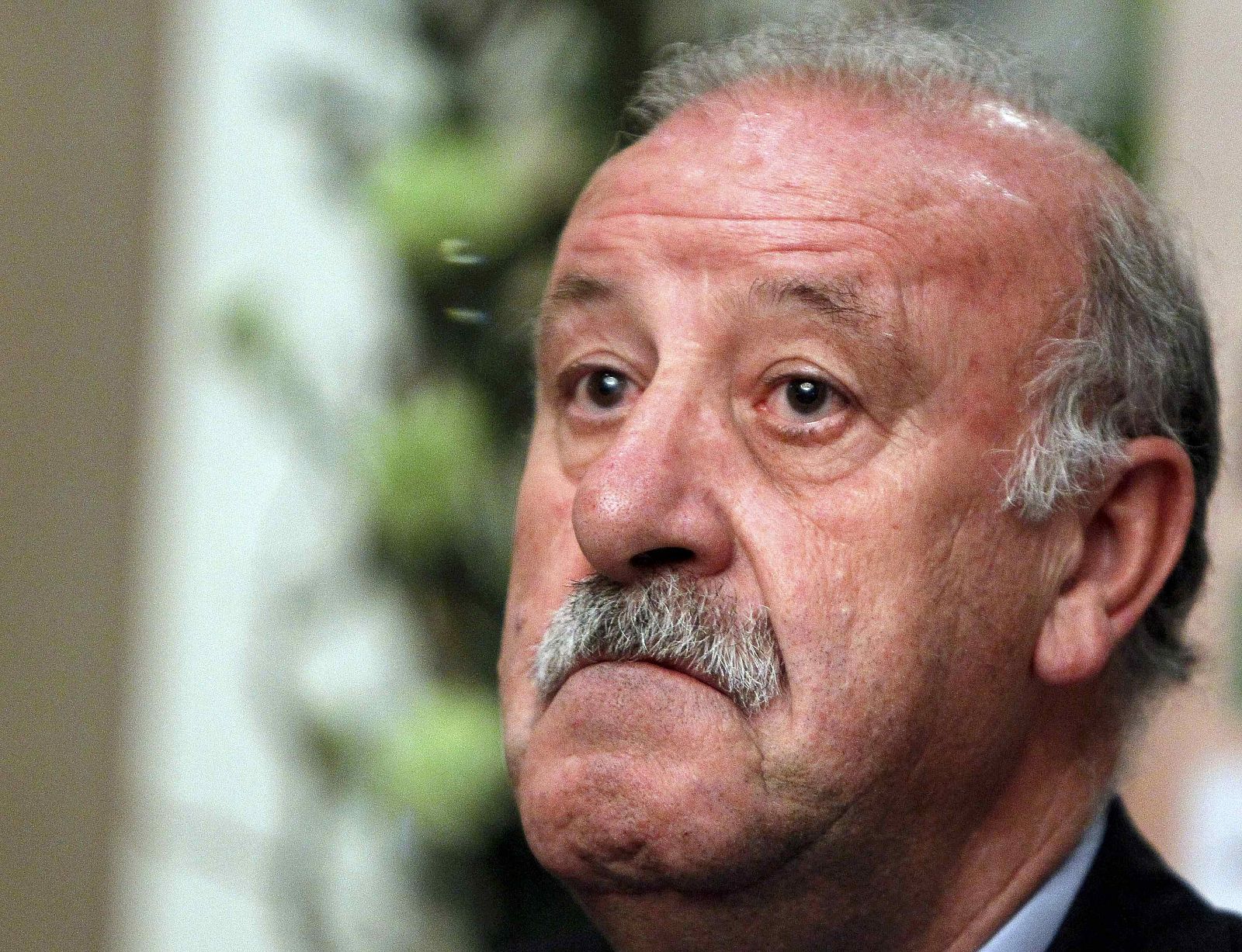 El seleccionador national Vicente del Bosque
