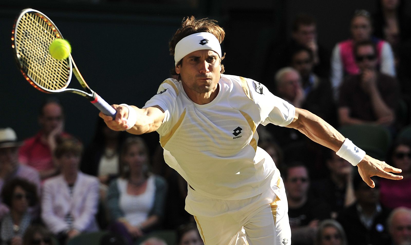 David Ferrer